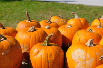 pumpkins background