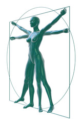 Vitruvian woman on white