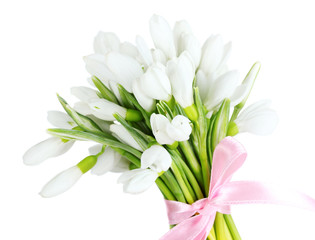 beautiful bouquet of snowdrops isolated on white