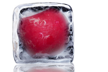 Block of ice with radishes