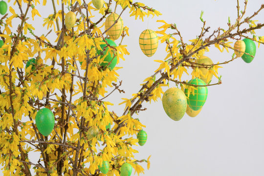 Osterdekoration am Forsythienstrauch