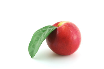 Ripe red apple
