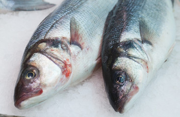 fresh fishes on display