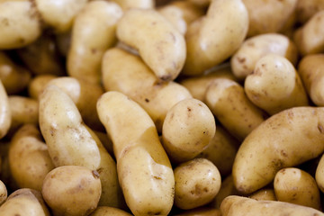 washed potatoes on display