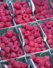 choice of raspberries
