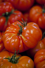 big ripe tomatoes