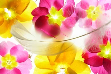 Foto auf Acrylglas Bunte Blütenblätter mit Feder © Li Ding