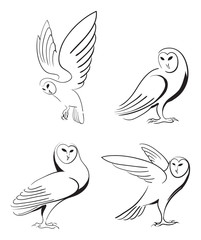 Owls