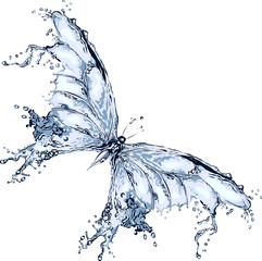 Water splash butterfly 2
