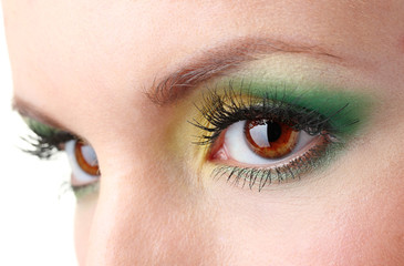 beautiful female eyes with bright make-up