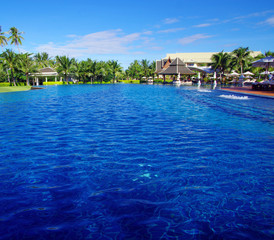 tropical swimming pool