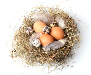 chicken and quail eggs in a nest isolated on white