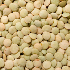 Green lentils