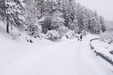 Walk on the snowy road