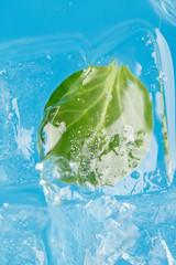 ice and leaf