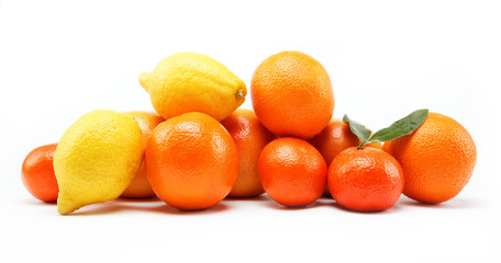 citrus fruits isolated on a white background.