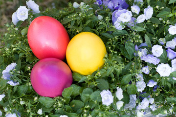Fototapeta na wymiar Hidden colorful easter eggs