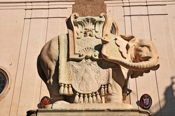 Roma, elefantino del Bernini e piazza della Minerva