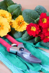 Obraz na płótnie Canvas gardening tools with flowers