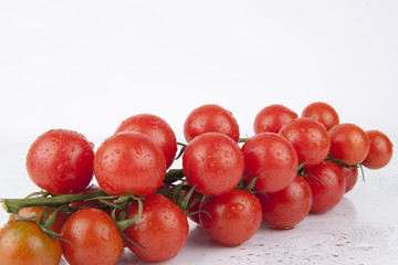 Fresh Cherry Tomatoes on the branch