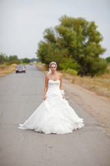 Fototapeta na wymiar bride on the road