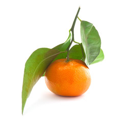 Mandarin with green leaf.