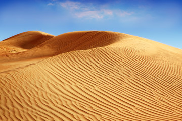 Desert landscape