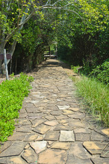 stone road in a forest