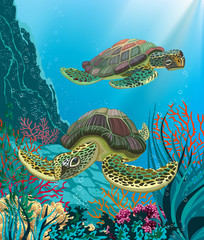 Obraz premium Illustration of sea turtles swimming underwater