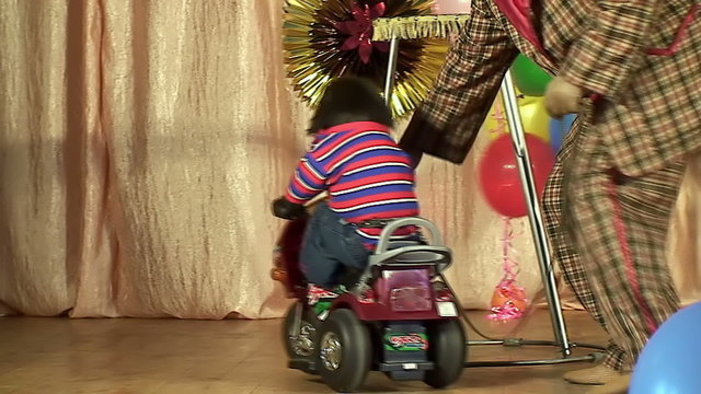 performance of a circus monkey
