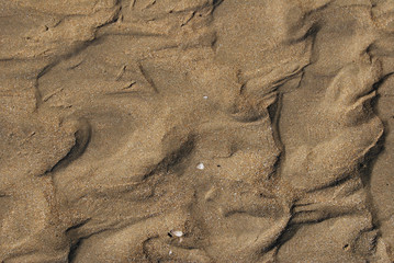 la spiaggia di Pescara