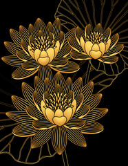 gold water lilies
