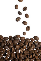 Falling Arabica Coffee Beans.