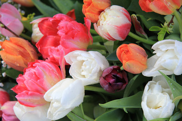 Mixed spring tulips bouquet