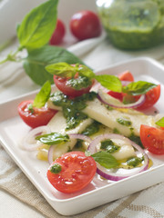 tomato and cheese salad