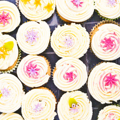 Cupcakes