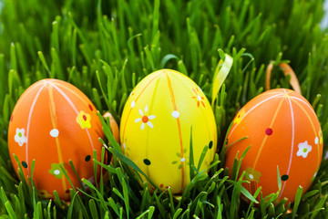 Easter eggs in green grass