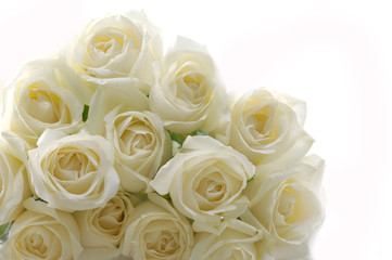 Bouquet of White Roses-texture