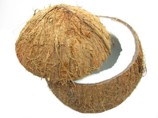 coconut nut isolated