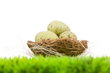 Colorful easter eggs in nest on meadow, isolated on white
