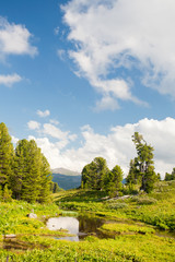 vertical landscape with mountains lake. Altai, Suberia
