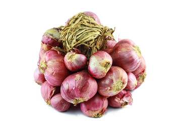 Isolated vegetable – Onion