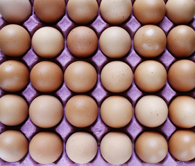Eggs