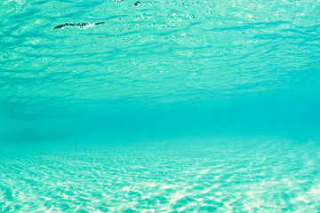 background underwater ocean pool florida Caribbean