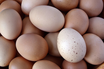 Eggs