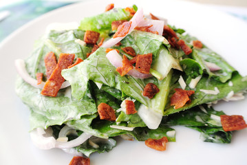 Ceasar Salad