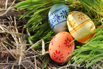 Easter eggs on green grass and hay