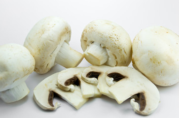 mushrooms on a white background