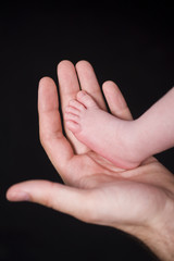 Fototapeta premium Newborn foot in an adult hand