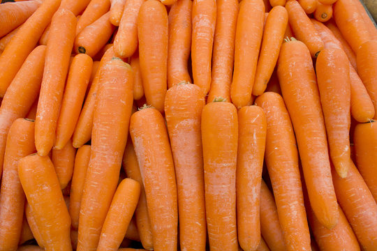 Carottes fra&icirc;ches Fresh vegetables